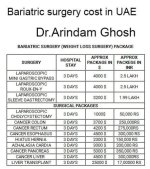 Bariatric surgery cost in UAE.jpg Bariatric surgery cost in UAE.jpg