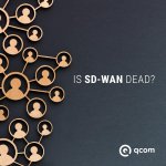 sd wan dead.jpg sd wan dead.jpg