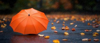 [freepicdownloader.com]-orange-umbrella-rainy-day-with-autumn-leaves-ground-large.jpg