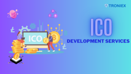 ICO DS (2).png