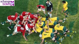 British and Irish Lions Tour 2025.jpeg