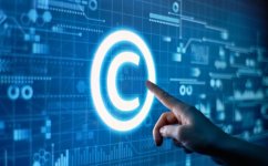IP.jpg
