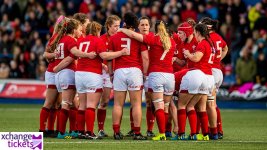 Wales Rugby World Cup.jpeg