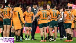 Lions vs Wallabies match.jpeg
