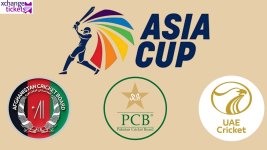 UAE to Host Crucial Tri-Series.jpeg