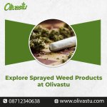 Explore Sprayed Weed Products at Olivastu.jpg
