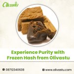Experience Purity with Frozen Hash from Olivastu.jpg