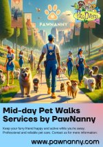 Mid-day Pet Walks Services by PawNanny.jpg