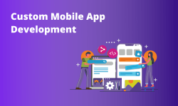 Custom-App-Development1.png