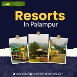 Resorts In Palampur.jpg