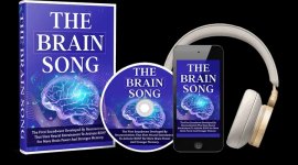 the-brain-song-main-image.jpeg