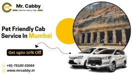 Pet Friendly Cab Service in Mumbai and Get upto 10% Off  - Mr. Cabby.jpg