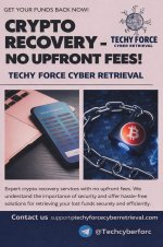 ASSISTING VICTIMS OF CRYPTO:USDT FRAUD.jpeg