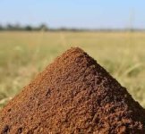 Cow Dung Powder.jpg