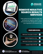 Remove Negative Search Results Services.png