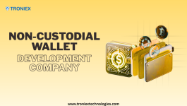 Non-Custodial Wallet (4).png