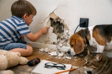 Drywall Repair in Alpharetta
