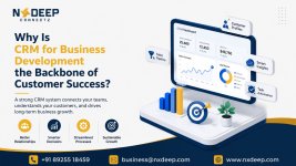 CRM Development Company (1).jpg