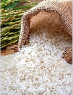 Basmati Rice.jpg