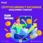 CRYPTOCURRENCY EXCHANGE DEVELOPMENT COMPANY.jpg