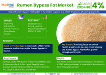 Rumen Bypass Fat Market.png