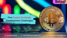 crypto (5).jpg
