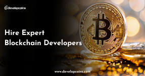 Hire Exprt Blockchain Developers.png