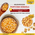 MUSHROOM POPCORN KERNELS.jpg