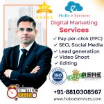 digital marketing services agency in noida extension.png