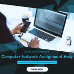 Computer Network Assignment Help.png