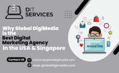 Why Global DigiMedia is the Best Digital Marketing Agency in the USA & Singapore (1).png