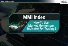 MMI Index.jpg