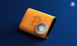 WHAT-IS-A-BITCOIN-WALLET-1.jpg