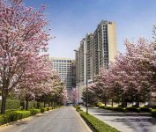 Bhartiya City Nikoo Garden Estates.jpg