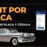 runtporplaca1503