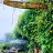 kodaiheavenresort