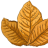 lousejohnson006