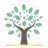 wisdommatters