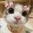 lindarover6